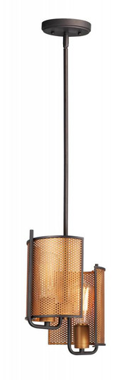 Caspian-Multi-Light Pendant (19|31219OIAB)