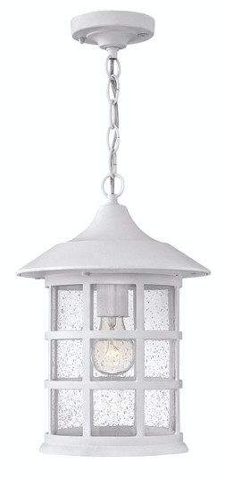 Medium Hanging Lantern (87|1862TW)