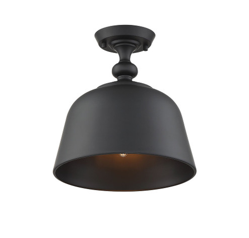 Berg 1-Light Ceiling Light in Matte Black (128|6-3750-1-89)