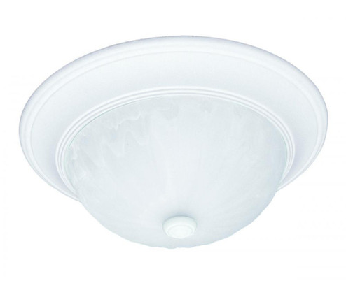 2-Light Ceiling Light in Matte White (128|6-13264-13-80)