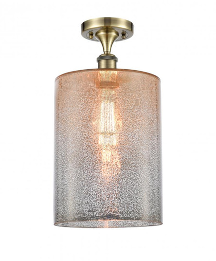 Cobbleskill - 1 Light - 9 inch - Antique Brass - Semi-Flush Mount (3442|516-1C-AB-G116-L)