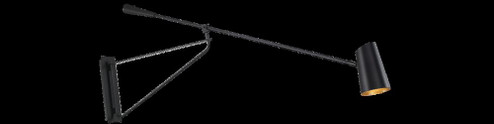 STYLUS 59IN WALL SPOT LIGHT (3612|BL-24959-BK/GO)