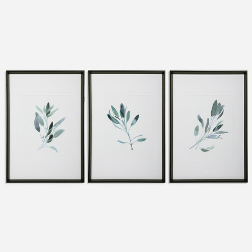 Uttermost Simple Sage Watercolor Prints Set/3 (85|33723)