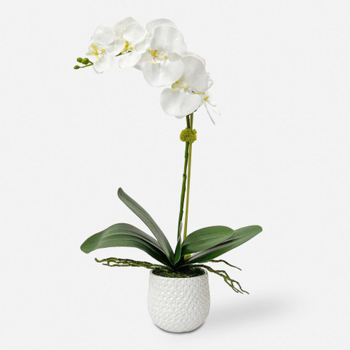 Uttermost Cami White Orchid (85|60178)