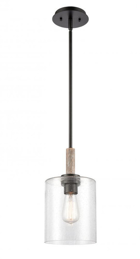 Paladin - 1 Light - 7 inch - Matte Black - stem hung - Mini Pendant (3442|442-1S-BK-SDY)