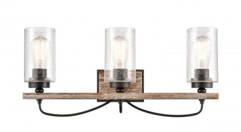 Paladin - 3 Light - 24 inch - Matte Black - Bath Vanity Light (3442|442-3W-BK-SDY)