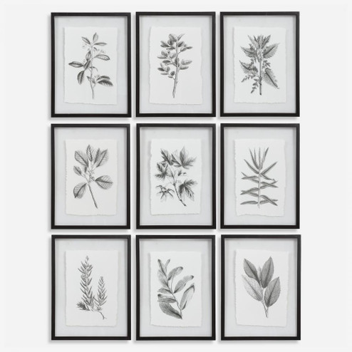 Uttermost Farmhouse Florals Framed Prints Set/9 (85|41617)