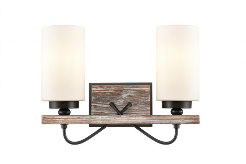 Paladin - 2 Light - 14 inch - Matte Black - Bath Vanity Light (3442|442-2W-BK-W)