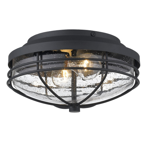 Golden Lighting Seaport 2-light Outdoor Ceiling in Natural Black (36|9808-OFM NB-SD)