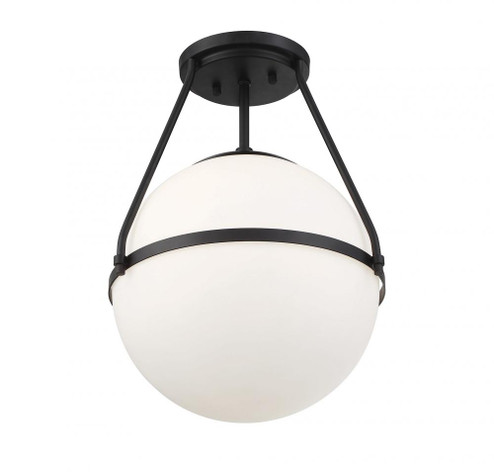 1-Light Ceiling Light in Matte Black (8483|M60054MBK)