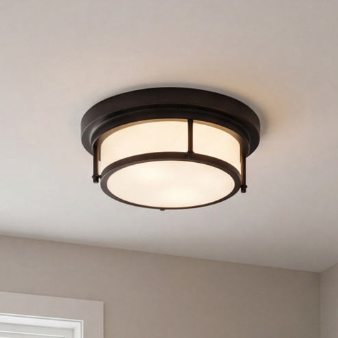 2-Light Ceiling Light in Matte Black (8483|M60062MBK)