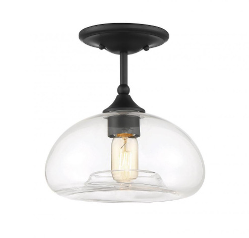 1-Light Ceiling Light in Matte Black (8483|M60017MBK)