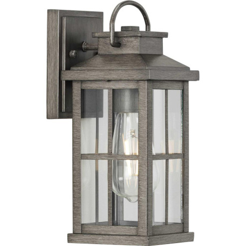 Williamston Collection One-Light Antique Pewter and Clear Glass Transitional Style Small Outdoor Wal (149|P560264-103)