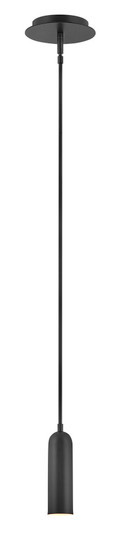 Extra Small LED Pendant (87|32377BK)