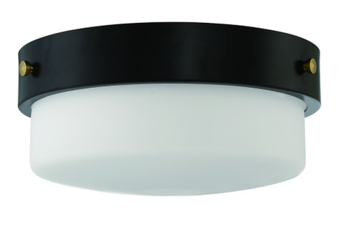 Oak Street 2 Light 13'' Flushmount in Flat Black (20|X3214-FB)