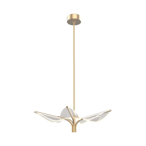 Flora 5 Head Natural Brass Dimmable LED Pendant (7713|PD321105NB)