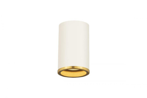 1 Light Flush Mount (276|2303F1-MW-RB)