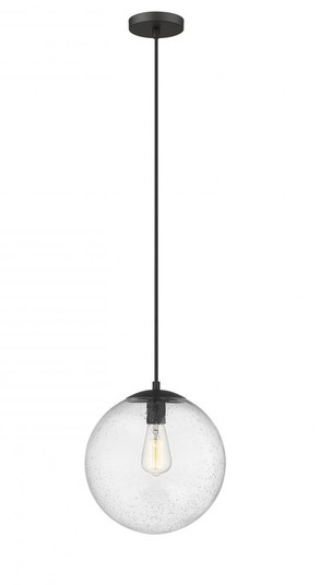 Tolland - 1 Light - 12 inch - Matte Black - Cord hung - Mini Pendant (3442|612-BK-SDY)