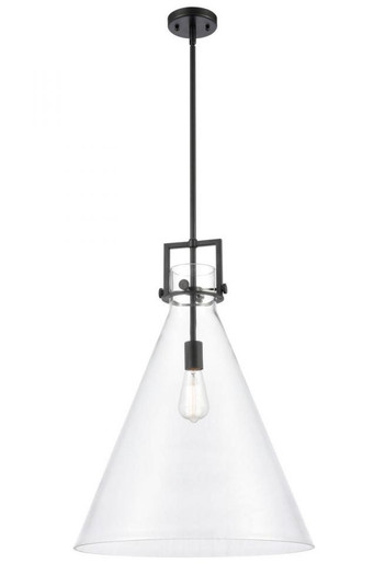 Newton Cone - 1 Light - 18 inch - Matte Black - Cord hung - Pendant (3442|411-1S-BK-18CL)