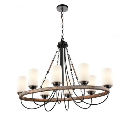 Paladin - 8 Light - 39 inch - Matte Black - Chain Hung - Chandelier (3442|442-8CR-BK-W-LED)