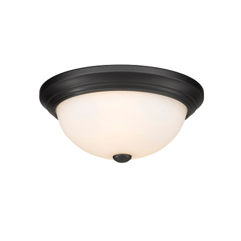 2-Light Flushmount Ceiling Light Matte Black (670|4903-MB)