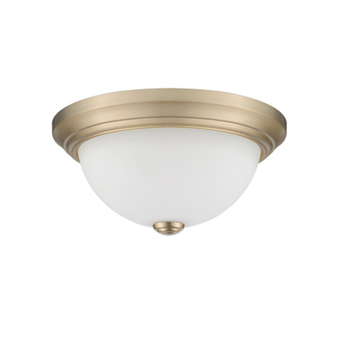 2-Light Flushmount Ceiling Light Modern Gold (670|4901-MG)