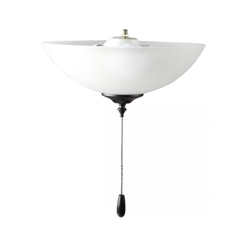 Fan Light Kits-Ceiling Fan Light Kit (19|FKT214FTBK)