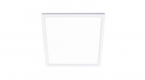 Edge - 9'' Square Ceiling Light Fixture - Satin Nickel Finish (1|EGSF0913L30D1SN)