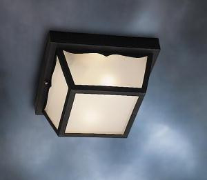Outdoor Ceiling 1Lt (10687|9320BK)