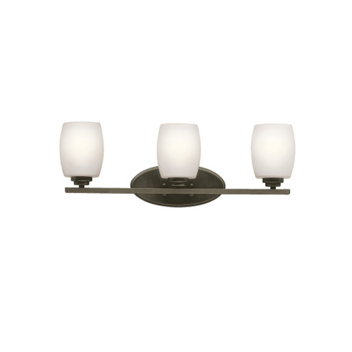 Eileen 24'' 3 Light Vanity Light with Satin Etched Cased Opal Glass in Olde Bronze® (10687|5098OZS)