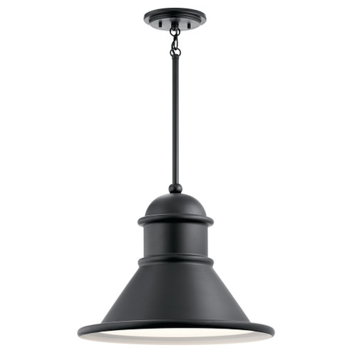 Outdoor Pendant 1Lt (10687|49777BK)