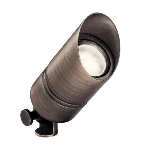 12V Brass Accent CBR (10687|15475CBR)