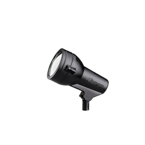 Accent 1-Lt 120V (10687|15231BKT)