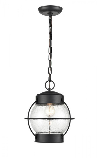 Outdoor Hanging Lantern (670|4172-PBK)