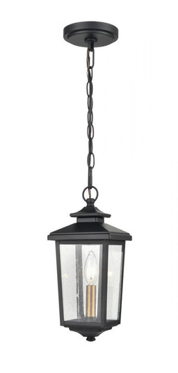 Outdoor Hanging Lantern (670|4621-PBK)