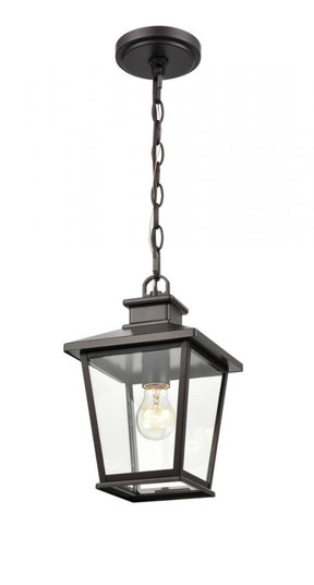 Outdoor Hanging Lantern (670|4731-PBZ)