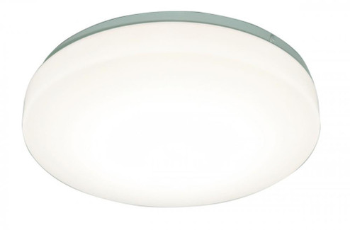 Cirrus 19'' LED Flush Mount (1|C2F193100LAJD1)