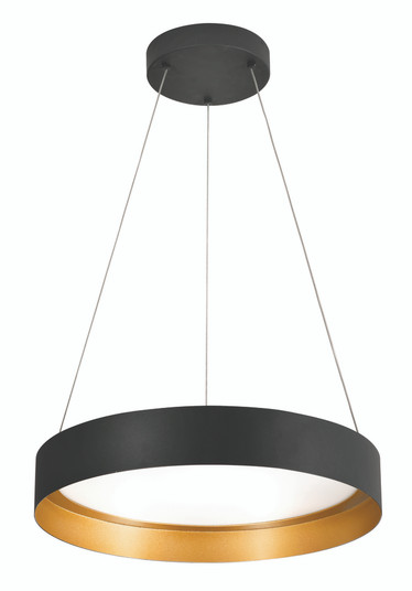 Reveal 20'' LED Pendant (1|RVP20L30D1BKGD)