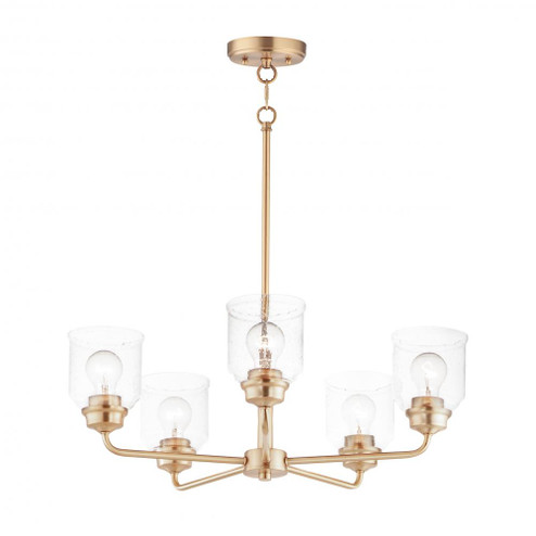 Acadia-Single-Tier Chandelier (19|12266CDHR)
