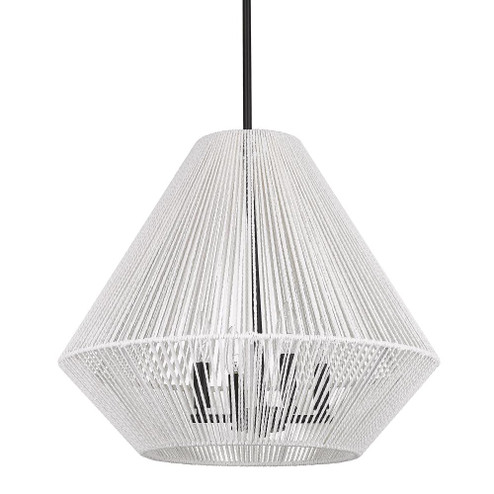 4 Light Pendant (36|6937-4P BLK-WR)