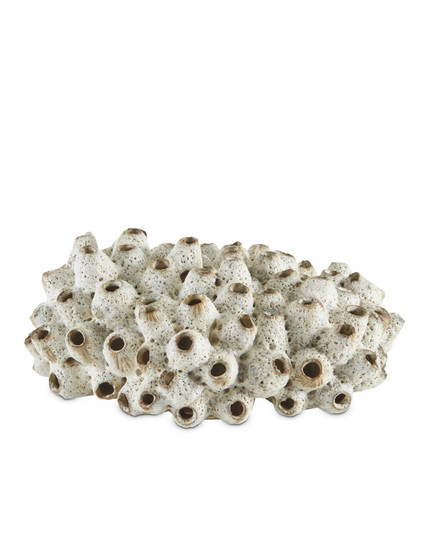 Sulawasi White Shells (92|1200-0429)