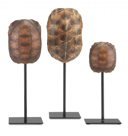 Turtle Shells Set of 3 (92|1200-0433)
