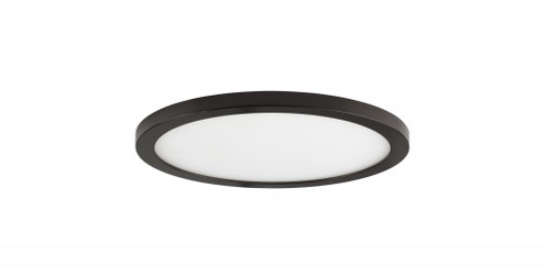 Wafer-Flush Mount (19|58710WTBZ)
