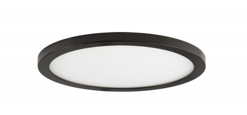 Wafer-Flush Mount (19|58714WTBZ)