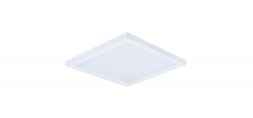Wafer-Flush Mount (19|58720WTWT)