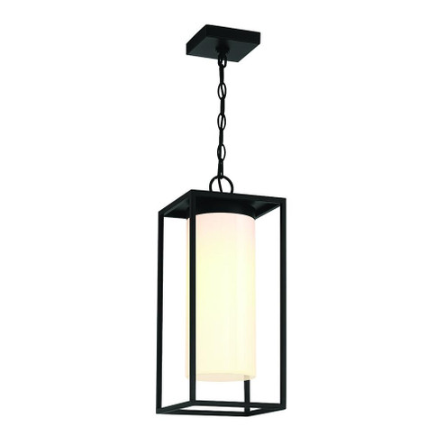 REN,1LT OUTDOOR HANGING,BLK (4304|41964-019)