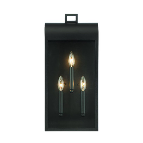 23'' 3 LT Outdoor Wall Sconce (4304|41968-017)