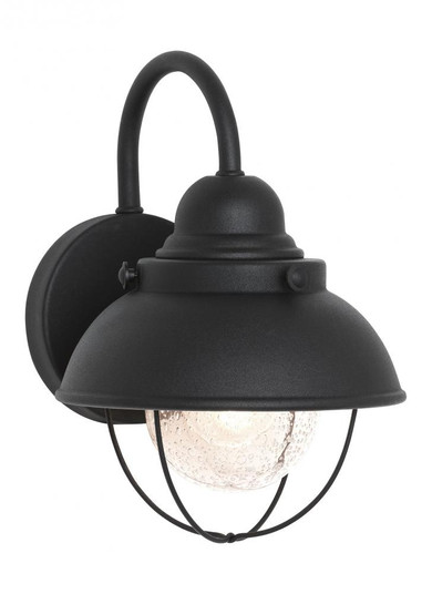 Sebring Small One Light Outdoor Wall Lantern (38|8870EN3-12)