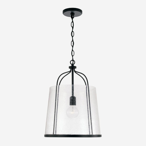1 Light Pendant (42|347011MB)