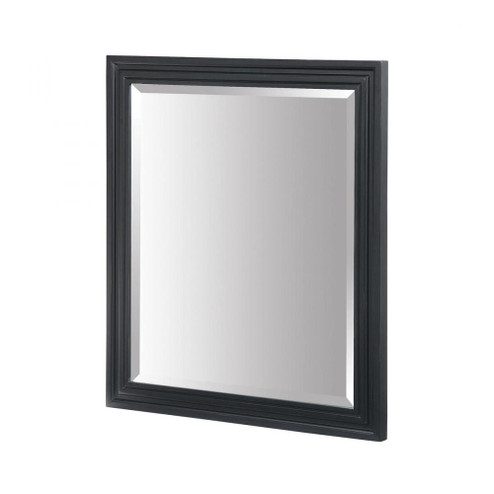 MIRROR (91|M-COLORADO-24BK)